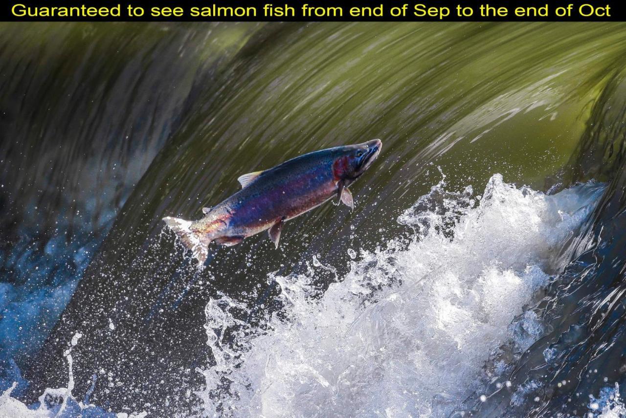 Salmon Magwood Guesthouse トロント エクステリア 写真